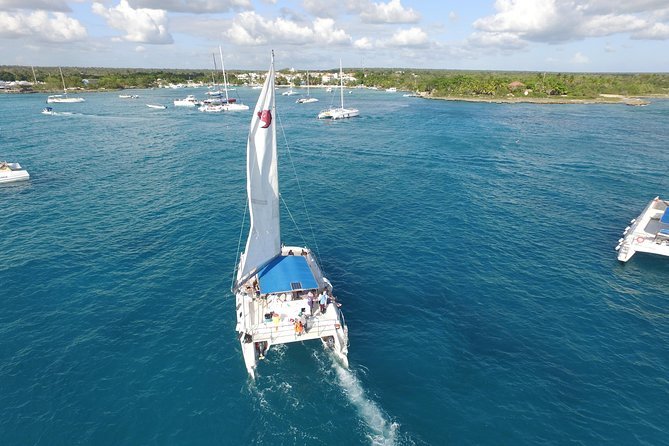 From Punta Cana: Saona Island & Altos de Chavon Day Trip with Lunch and Open Bar - Value check: does $99 deliver what you came for?
