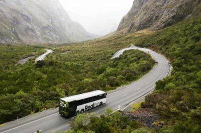 From Queenstown: Milford Sound Cruise and Coach Day Trip - Milford Road Photo Stops: Short Walks, Fast Views, Real Timing