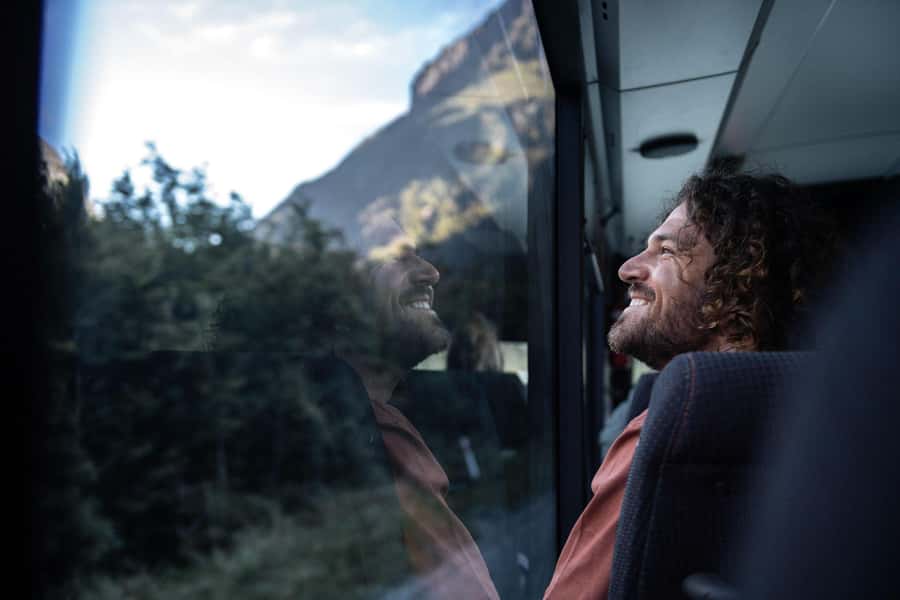 From Queenstown: Milford Sound Cruise and Coach Day Trip - Wildlife Chances: Seals, Dolphins, Penguins (And the Occasional Bonus)