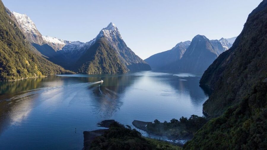 From Queenstown: Milford Sound Cruise and Coach Day Trip - The Human Factor: Driver-Guide Storytelling Makes the Long Drive Worth It