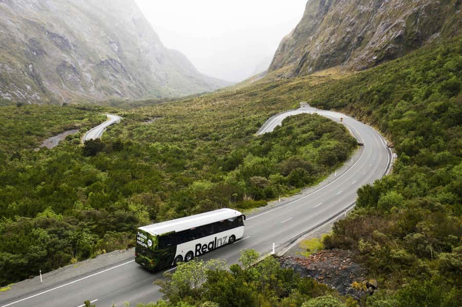 From Queenstown: Milford Sound Cruise and Coach Day Trip - Milford Road Photo Stops: Short Walks, Fast Views, Real Timing