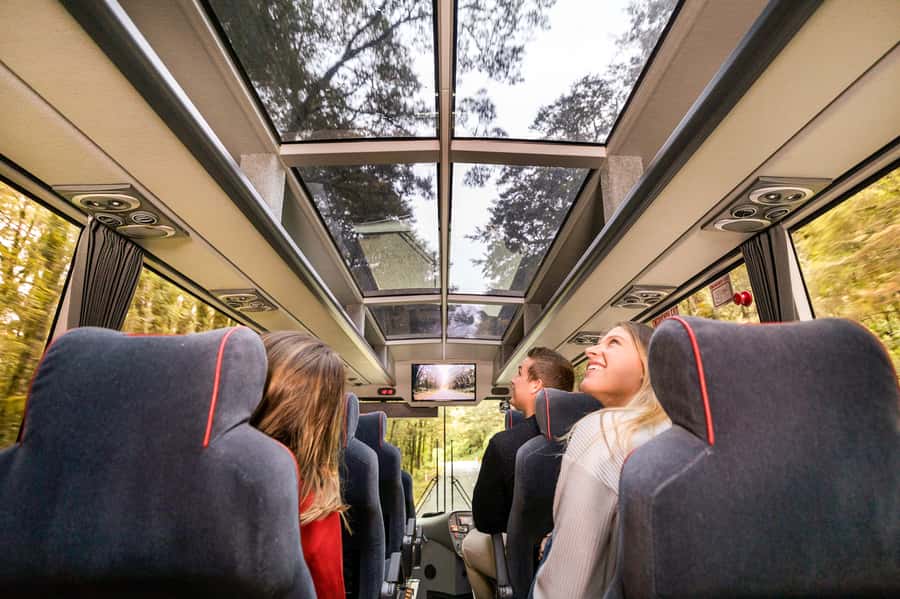 From Queenstown: Milford Sound Day Trip on Premium Coach - Key Points You’ll Actually Care About