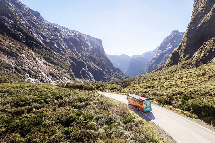 From Queenstown: Milford Sound Day Trip on Premium Coach - Photo Strategy and Deck Time: How to Get the Best Views Without Feeling Rushed