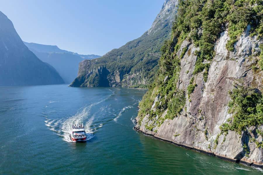 From Queenstown: Milford Sound Day Trip on Premium Coach - Value and Price: Is $170 Worth It Compared to Driving Yourself?