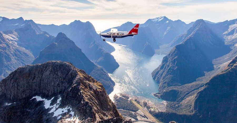 From Queenstown: Milford Sound Full-Day Trip by Plane & Boat - Wildlife chances in Milford Sound: what to watch for