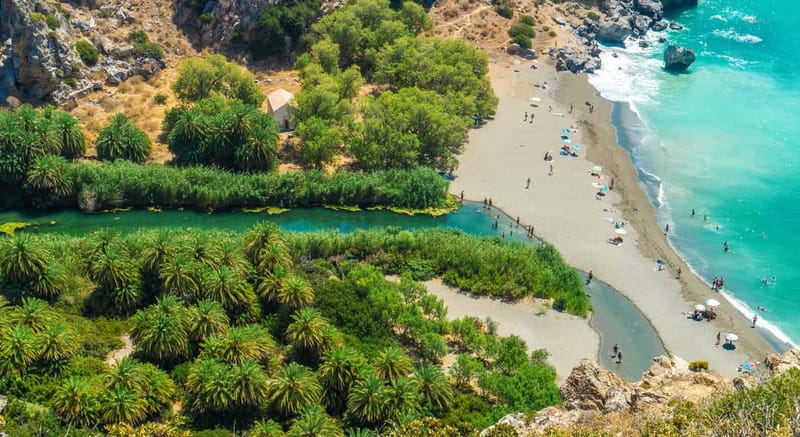 From Rethymno/Chania: Day Trip to Preveli Palm Beach - What you’ll do, in plain terms