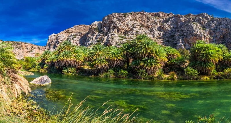 From Rethymno/Chania: Day Trip to Preveli Palm Beach - Key points that make this day trip worth it