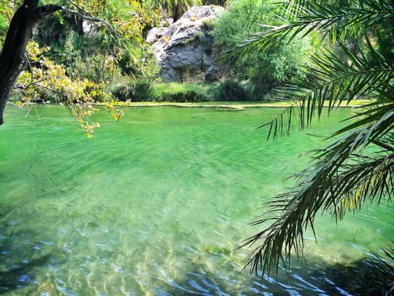 From Rethymno/Chania: Day Trip to Preveli Palm Beach - Damnoni to Preveli by boat on the Libyan Sea: short ride, big reward
