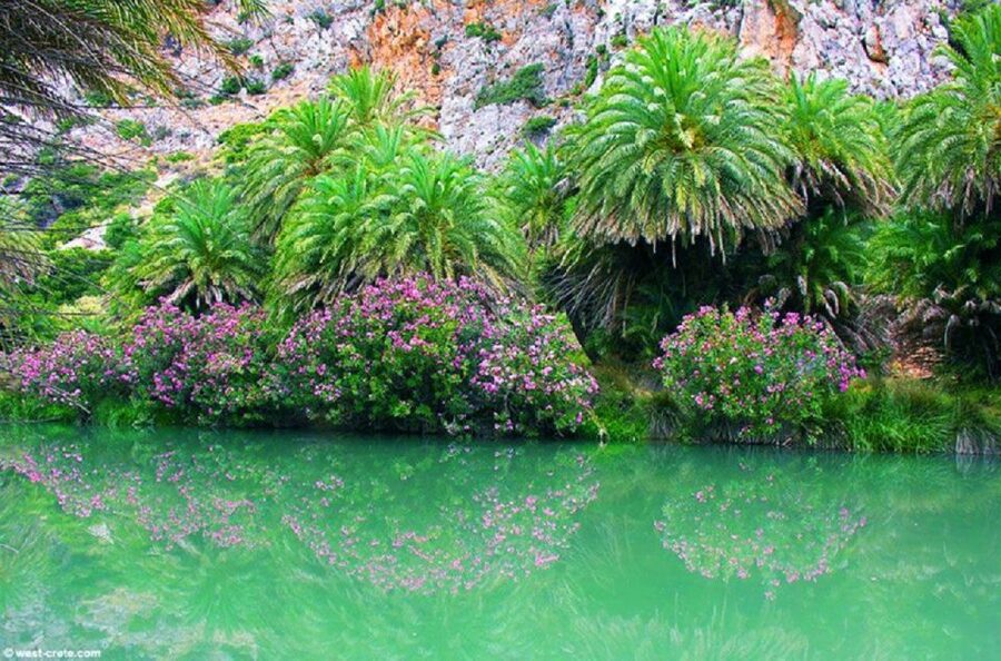 From Rethymno: Preveli Palm Beach and Kourtaliotiko Day Trip - Price and Value: What You Pay, What You Still Might Pay