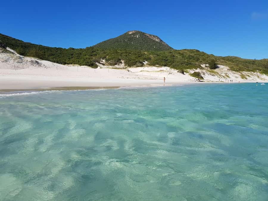 From Rio de Janeiro: Arraial do Cabo Island Day Trip - Why this trip hits different: 5 things to know fast