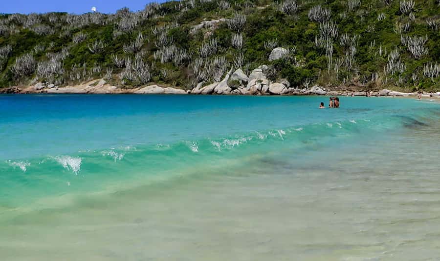 From Rio de Janeiro: Arraial do Cabo Island Day Trip - Price and value: is $67 a good deal for this day?