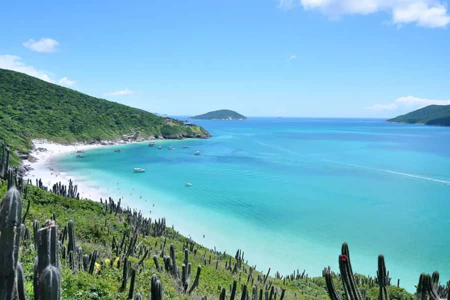 From Rio de Janeiro: Arraial do Cabo Island Day Trip - Arraial do Cabo’s pull: why it feels like a Brazilian Caribbean
