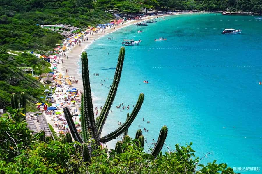 From Rio de Janeiro: Arraial do Cabo Island Day Trip - Praia do Farol: the stop people talk about for a reason
