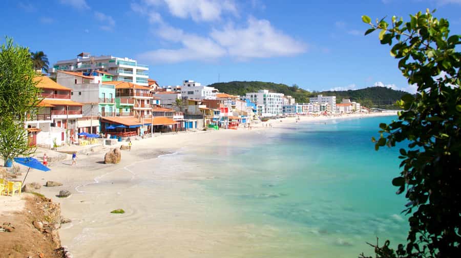 From Rio de Janeiro: Arraial do Cabo Island Day Trip - The underwater draw: coral reefs and marine life (and what to bring)
