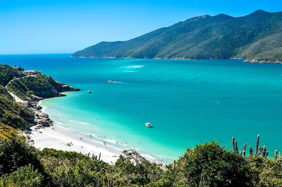 From Rio de Janeiro: Arraial do Cabo Island Day Trip - How the guided tour keeps the day from unraveling