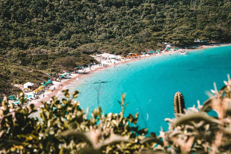 From Rio de Janeiro: Arraial do Cabo Island Day Trip - Lunch on the schedule: what’s included and why it matters