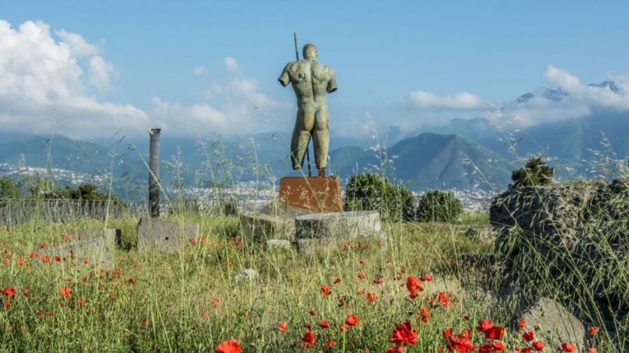 From Rome: Pompeii and Naples Day Trip by High-Speed Train - Should You Book This Pompeii and Naples Day Trip?