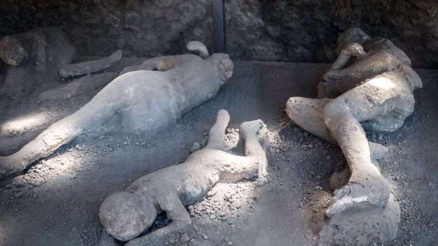 From Rome: Pompeii and Naples Day Trip by High-Speed Train - The Pompeii Pizzeria Lunch: Neapolitan Pizza You Can Actually Taste