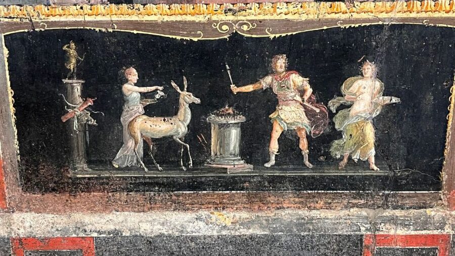 From Rome: Pompeii and Naples Day Trip by High-Speed Train - Who This Tour Fits Best (and Who Should Rethink It)