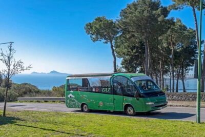 From Rome: Pompeii and Vesuvio Guided Day Trip with Lunch - Pompeii’s guided ruins: what you gain from the structure