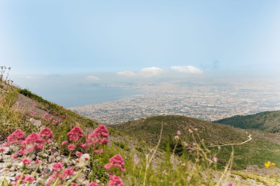 From Rome: Pompeii Day Trip with Optional Vesuvius and Lunch - Choosing lunch: included Neapolitan meal with panoramic views