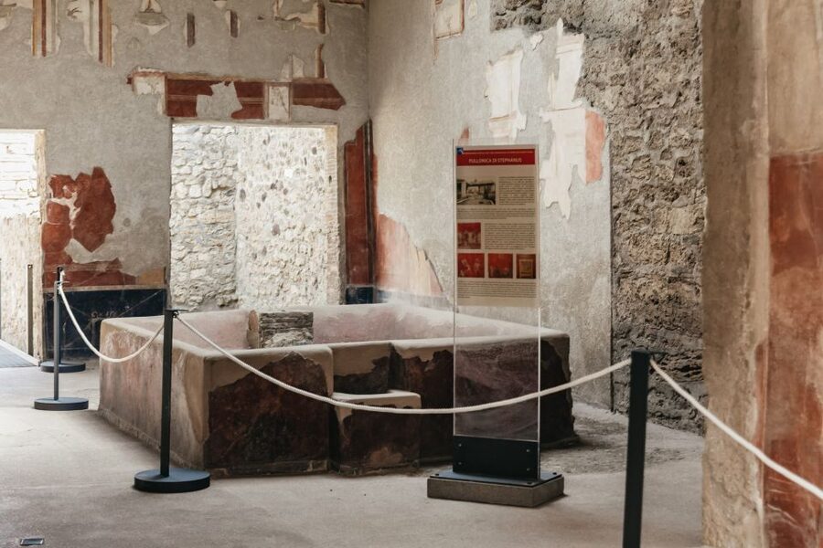 From Rome: Pompeii Day Trip with Optional Vesuvius and Lunch - What you’ll want to bring (and what to skip)