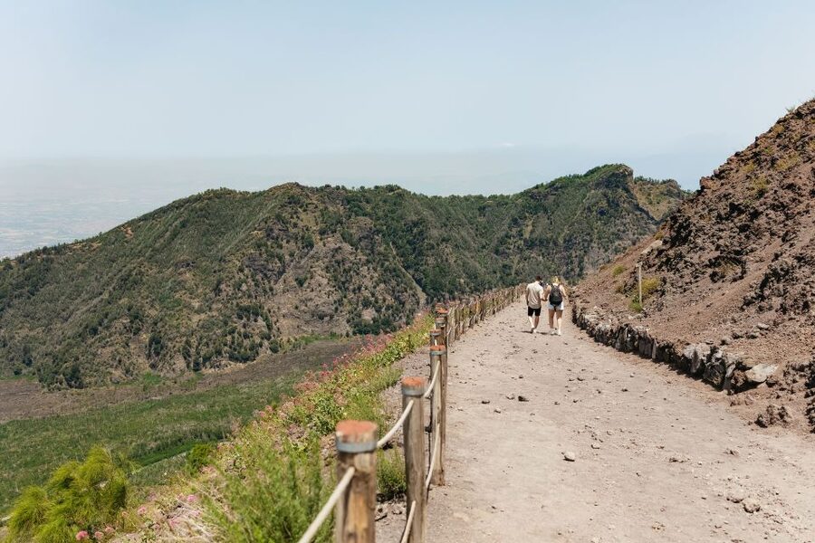 From Rome: Pompeii Day Trip with Optional Vesuvius and Lunch - The private coach ride from Rome actually helps