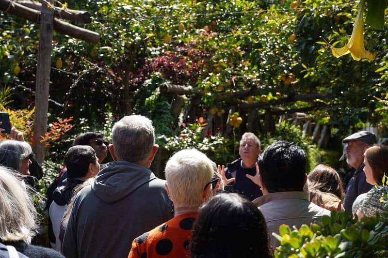 From Rome: Sorrento & Pompeii Day Trip with Guide or Ticket - Quick hits before you go
