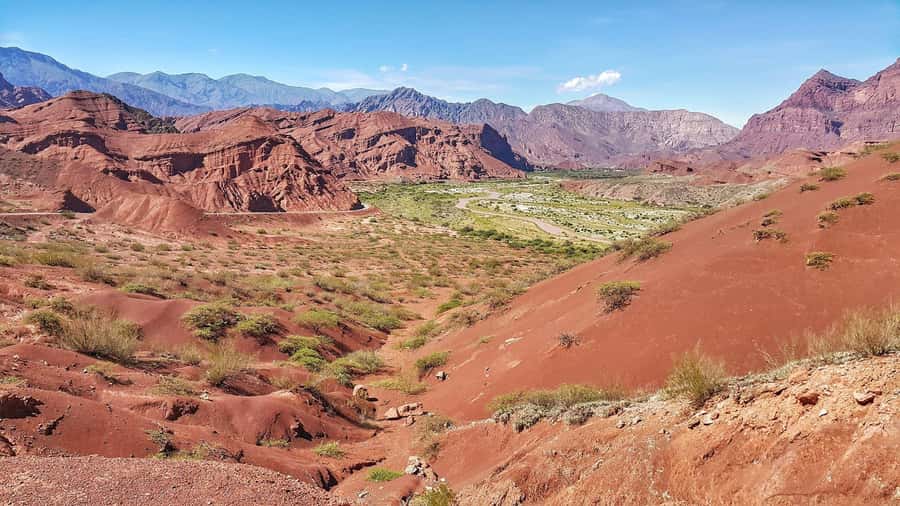 From Salta: Cafayate Day Trip with Wine Tasting - Guides, drivers, and the bilingual experience that can make or break it