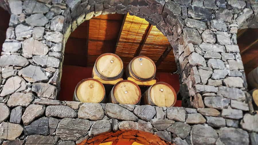 From Salta: Cafayate Day Trip with Wine Tasting - Price and value: why $40 can feel fair (or not)