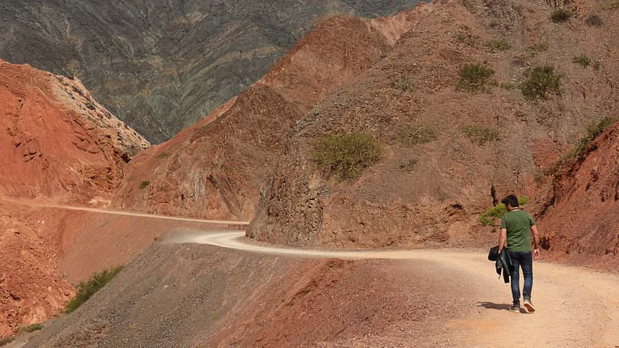 From Salta: Full-Day Trip to Salinas Grandes and Purmamarca - Key things I’d bookmark before you go