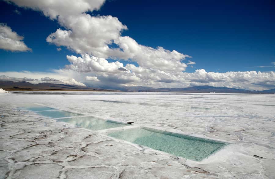 From Salta: Full-Day Trip to Salinas Grandes and Purmamarca - Lunch in Purmamarca: plan for food choices, not just calories