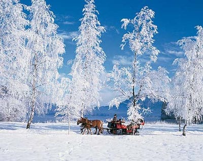 From Salzburg: Ramsau Day Trip with 1-hour Carriage Ride - Key Highlights You’ll Actually Notice