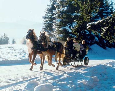 From Salzburg: Ramsau Day Trip with 1-hour Carriage Ride - The High Alpine Plateau Feeling at Around 3,700 Feet
