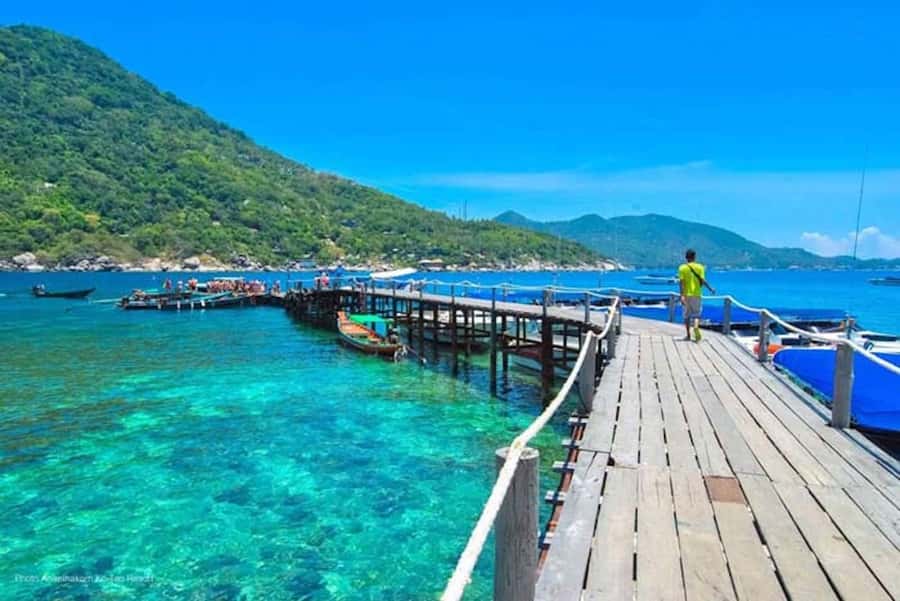 From Samui: Ko Tao and Koh Nang Yuan Speedboat Day Trip - Samui to Ko Tao and Koh Nang Yuan: why this day trip works