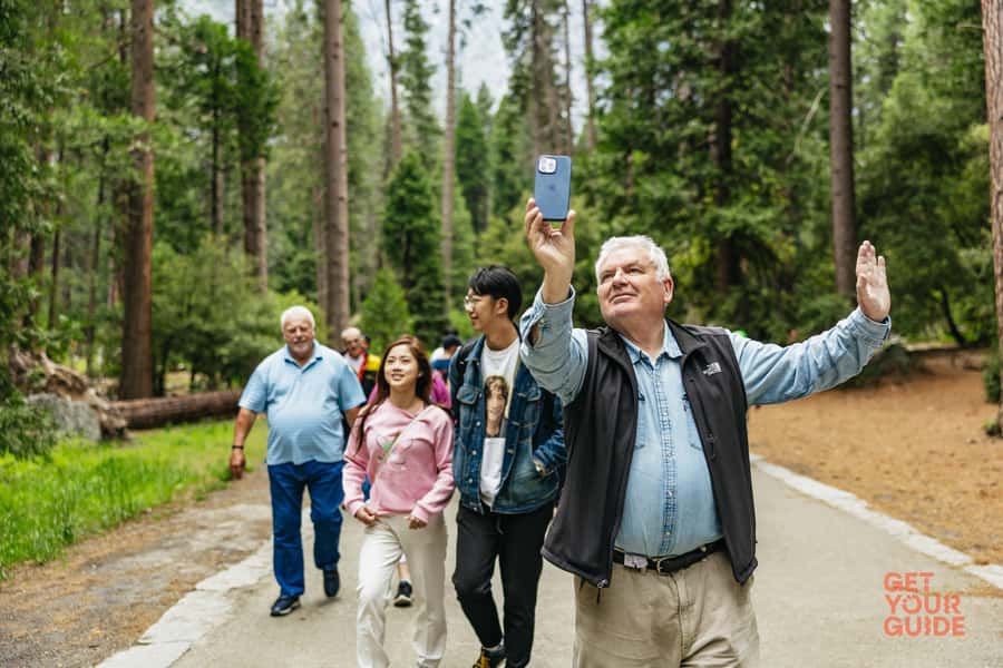 From San Francisco: Yosemite National Park Guided Day Trip - Who This Tour Suits Best (and Who Might Want More Time)