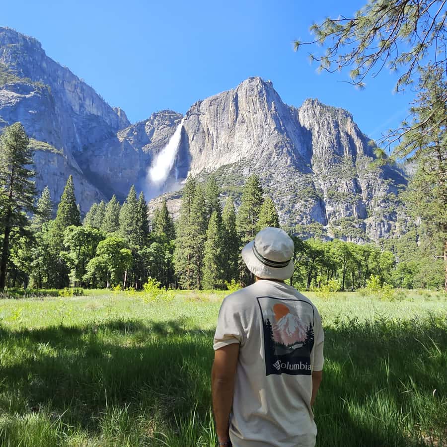 From San Francisco: Yosemite National Park Guided Day Trip - Entering Yosemite: The 1-Hour Guided Tour Plus 3 Hours to Explore