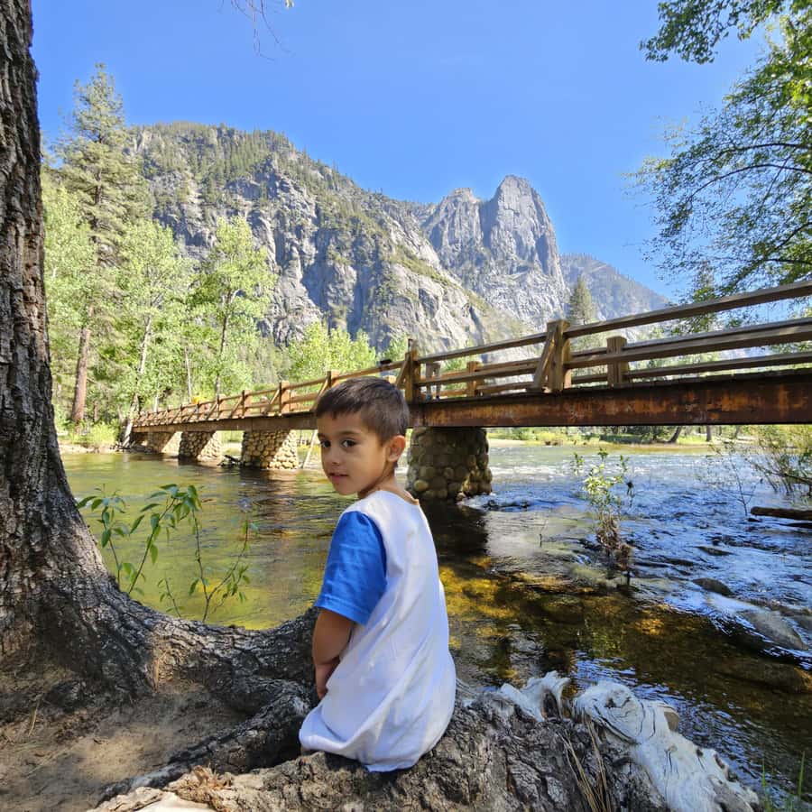 From San Francisco: Yosemite National Park Guided Day Trip - Yosemite Valley Time: Lunch, Hiking, and Why Timing Matters