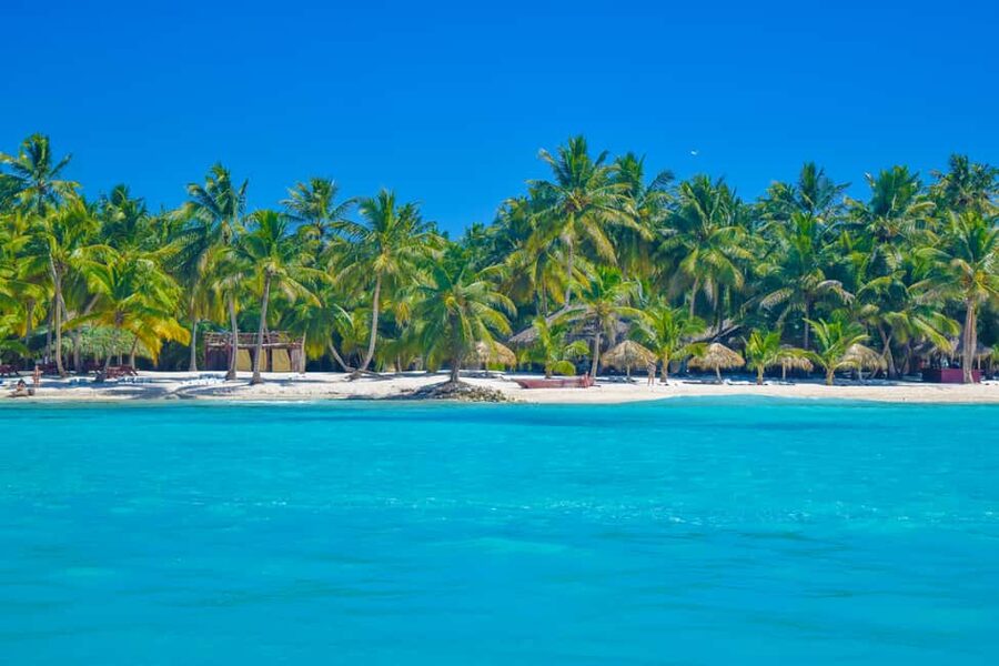 From Santo Domingo: Saona Island Day Trip w/ Lunch & Drinks - What to Pack (and What to Skip)