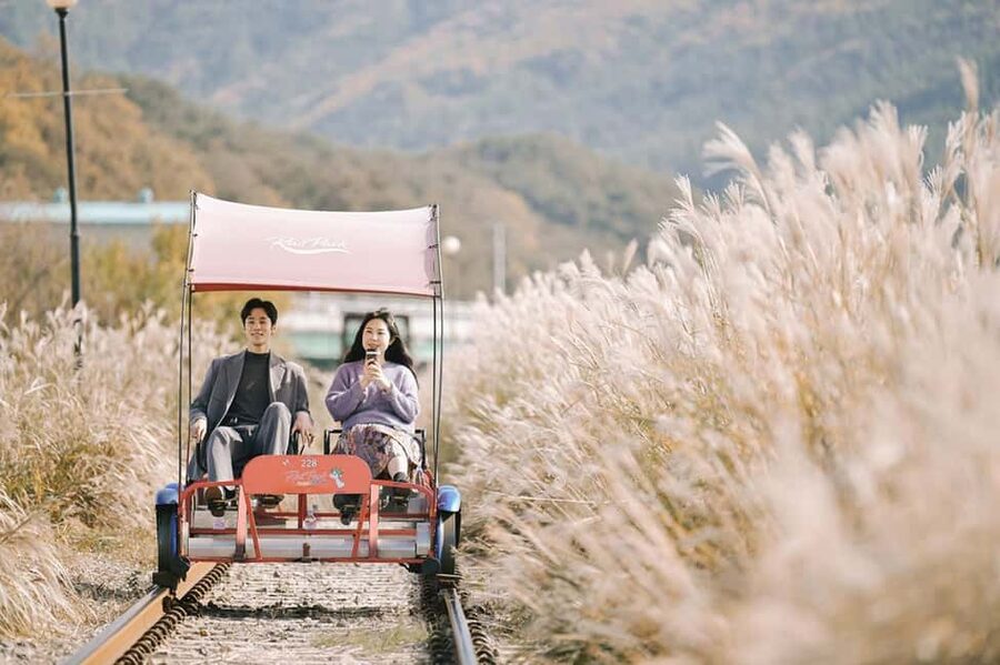 From Seoul: Nami Island, K-drama Garden & Rail Bike Day Tour - Key Things That Make This Day Tour Special