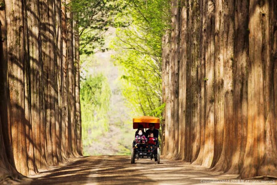 From Seoul: Nami Island, K-drama Garden & Rail Bike Day Tour - Practical Tips to Enjoy Every Part Without Stress