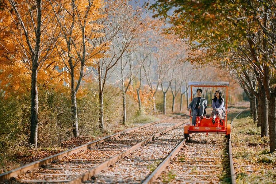 From Seoul: Nami Island, K-drama Garden & Rail Bike Day Tour - Nami Island: The Tree-Lined Stroll You’ll Understand Fast