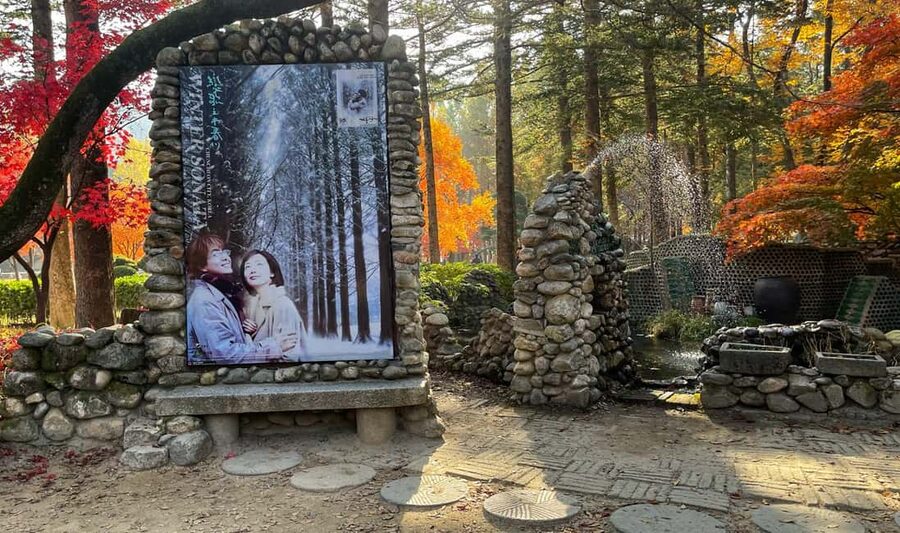 From Seoul: Nami Island, K-drama Garden & Rail Bike Day Tour - Gangchon Rail Bike: The Optional Ride That Changes the Whole Mood