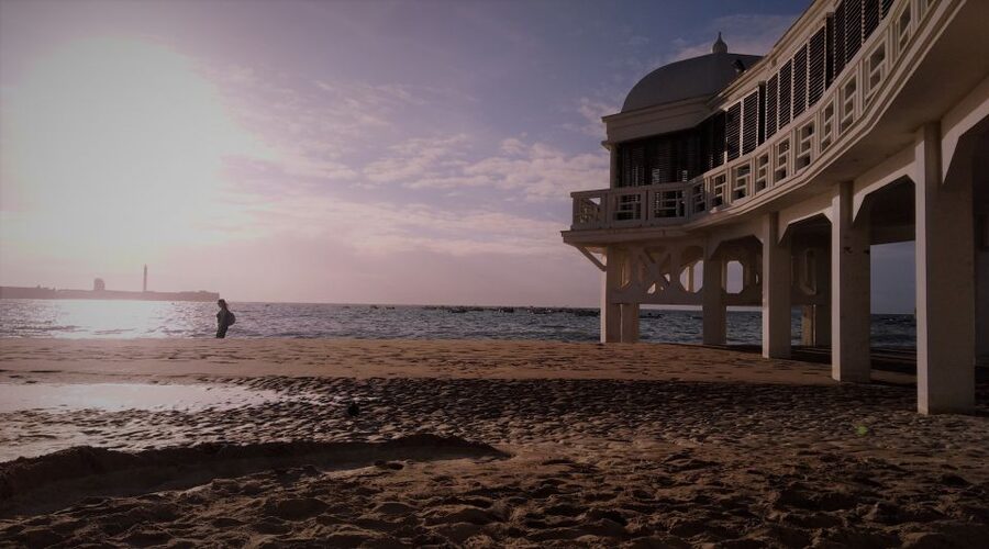 From Seville: Cadiz and Jerez de la Frontera Day Trip - Key Points Worth Your Attention