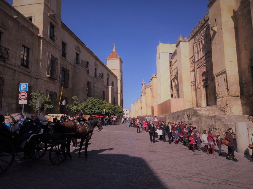 From Seville: Cordoba, the Mosque and Carmona Day Trip - Transportation, Comfort, and Timing: What to Watch For