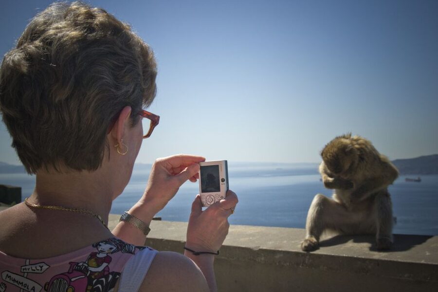 From Seville: Day Trip to Gibraltar - Rock of Gibraltar: guided sights, big viewpoints, and monkeys with attitude