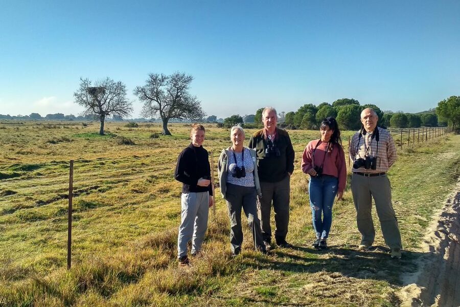From Seville: Doñana National Park Day Trip - La Rocina trail walk: when the park gets up close