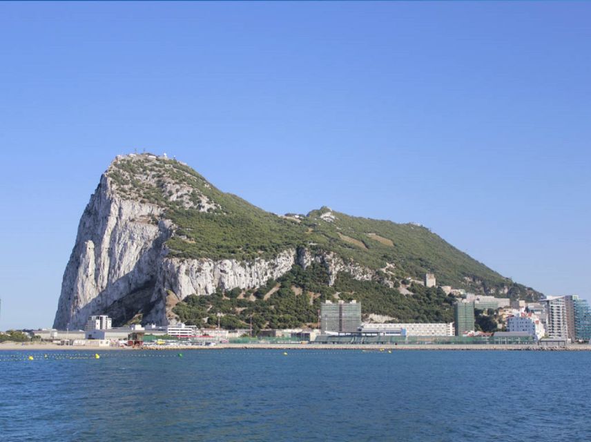 From Seville: Full-Day Trip to Gibraltar - Time, Pacing, and the One Thing You Might Want More Of