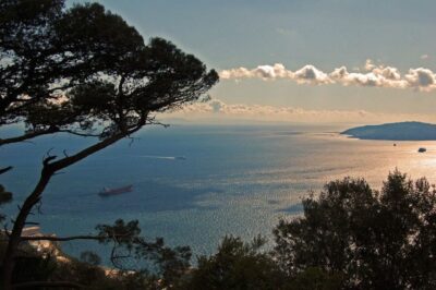 From Seville: Full-Day Trip to Gibraltar - Morning Departure and the Border Day Reality (Passport, Comfort, Timing)