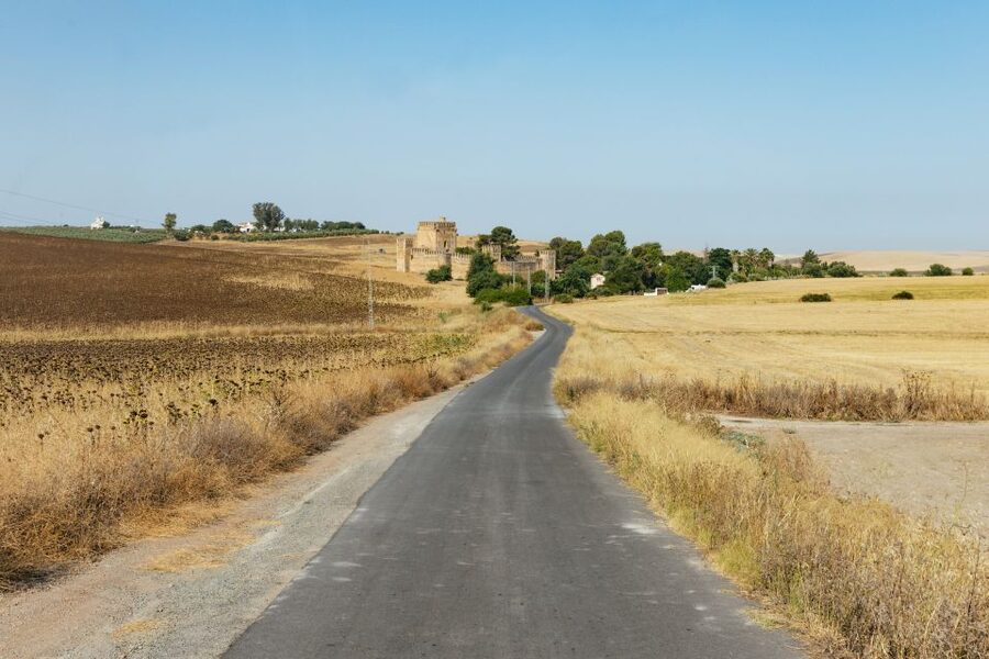 From Seville: Pueblos Blancos and Ronda Full-Day Trip - Comfort, Pace, and What to Pack for the Long Day